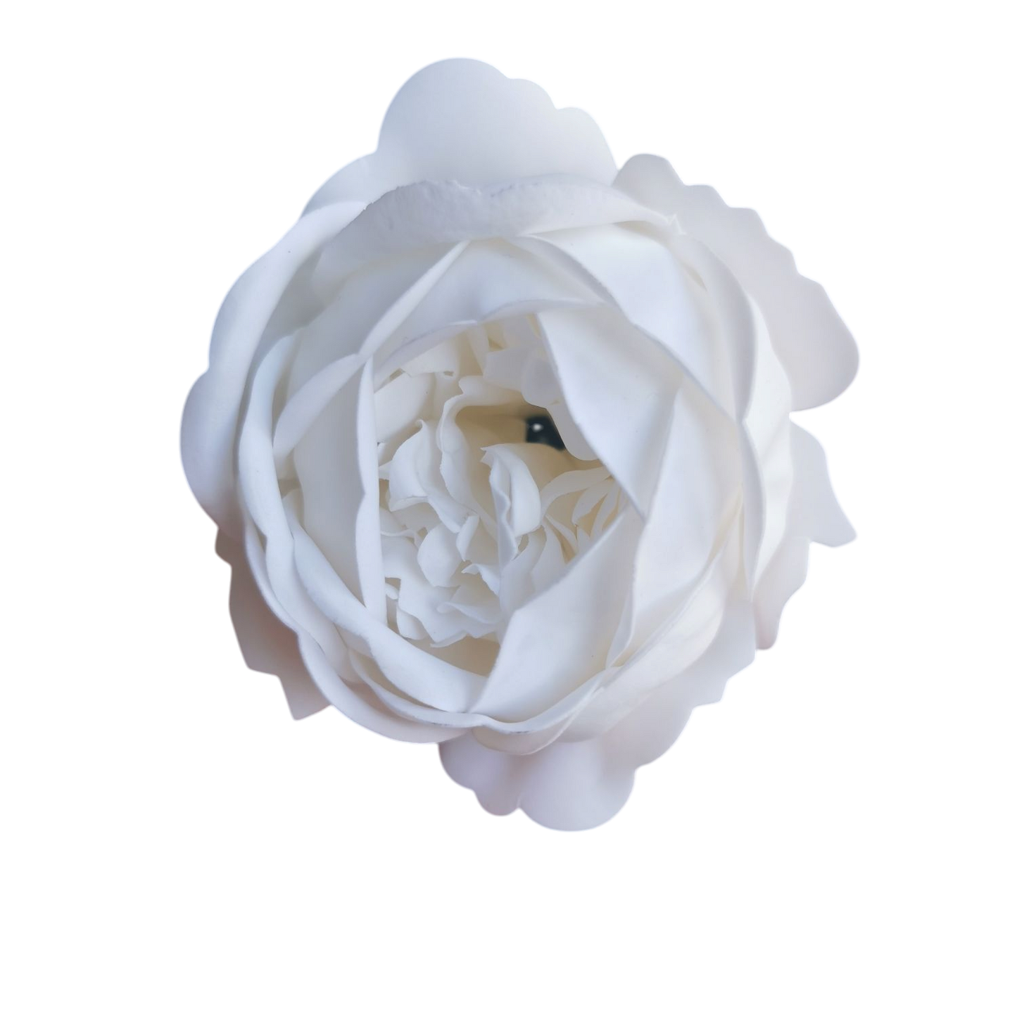Pivoine du jardin en savon à l'unité : rose, blanc ou rouge