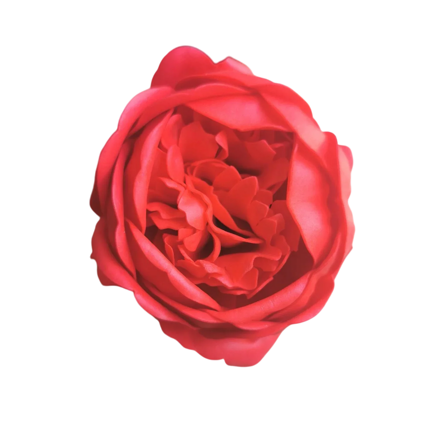 Pivoine du jardin en savon à l'unité : rose, blanc ou rouge