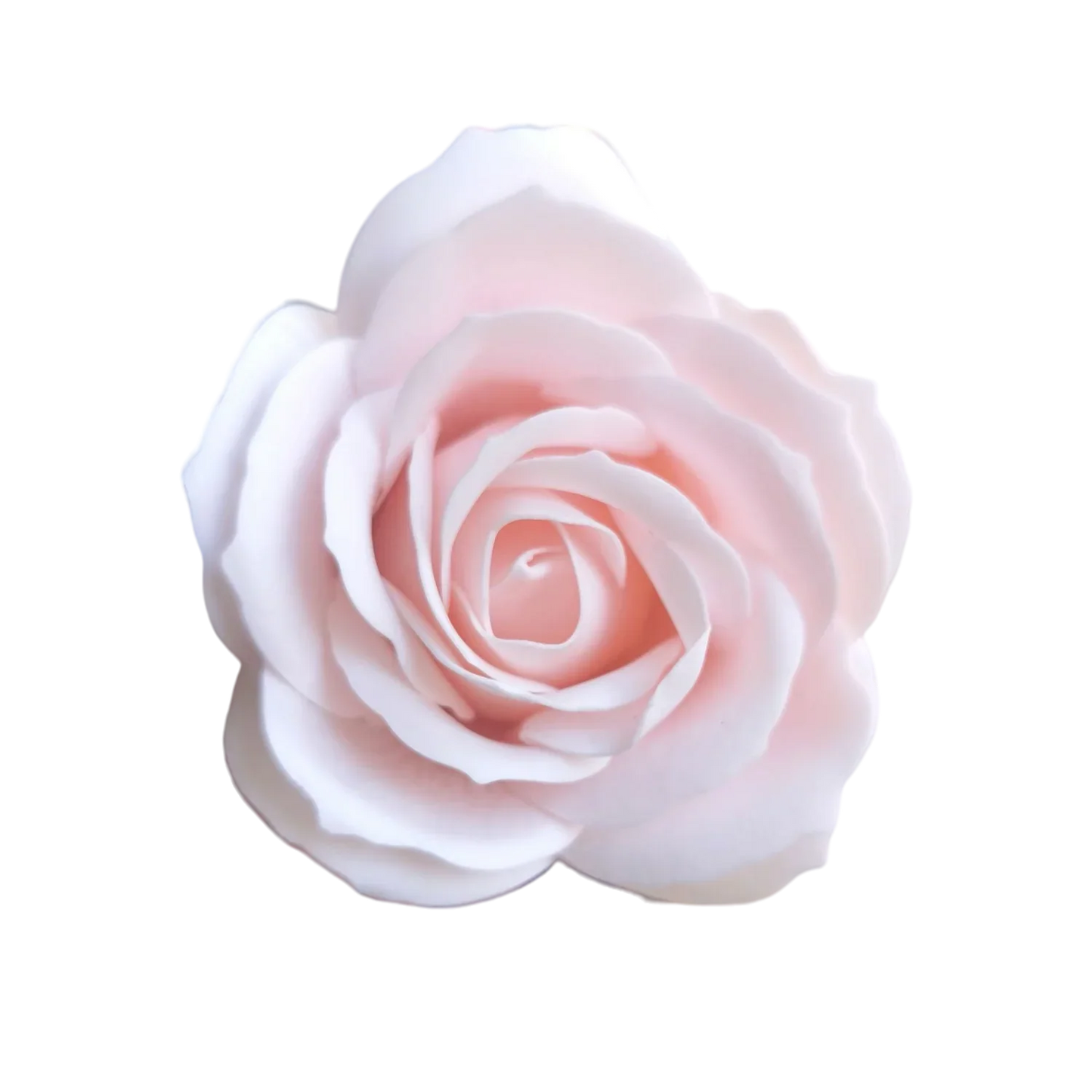 Rose privée de la Roseraie en savon à l'unité : rouge, blanc, fuchsia ou rose.