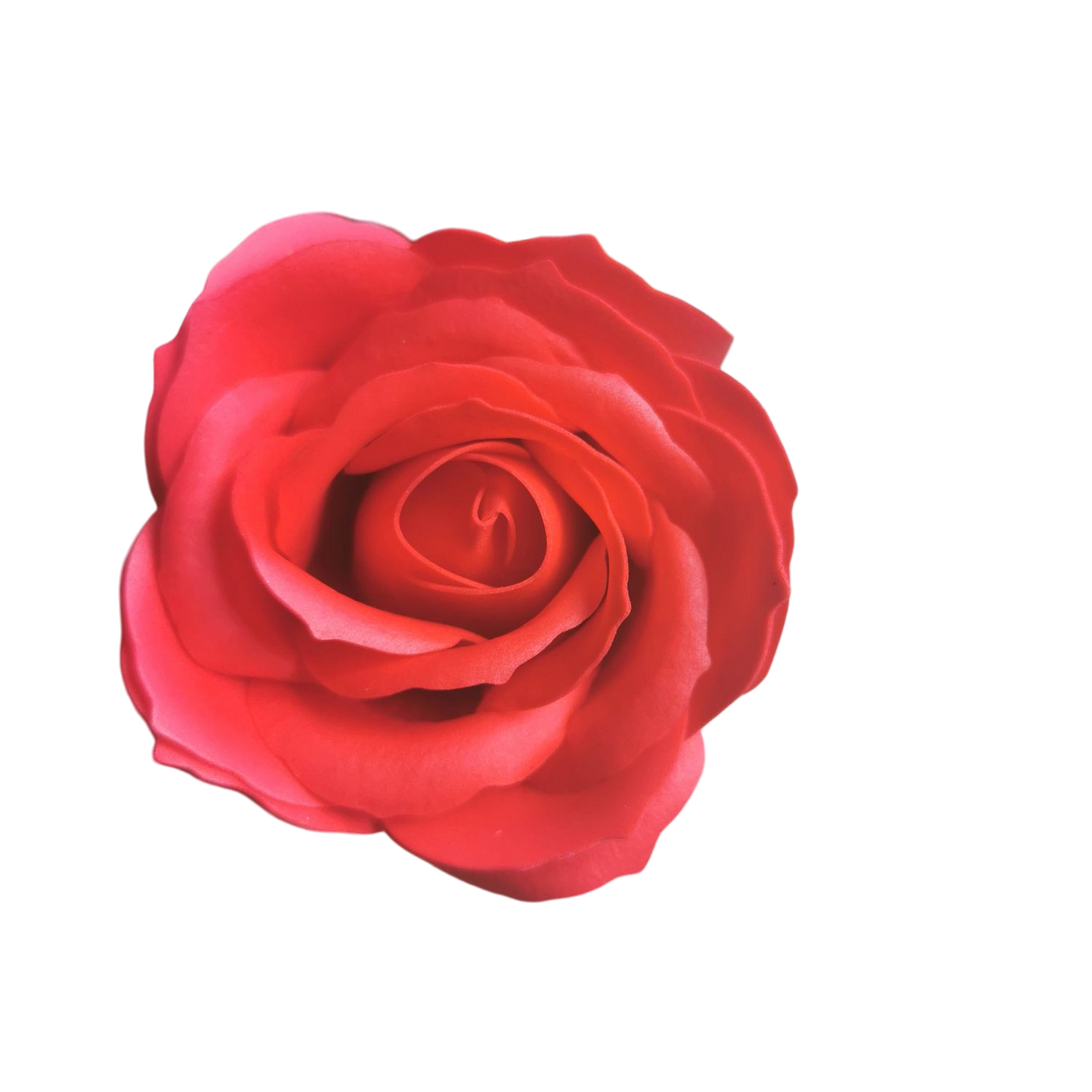 Rose privée de la Roseraie en savon à l'unité : rouge, blanc, fuchsia ou rose.