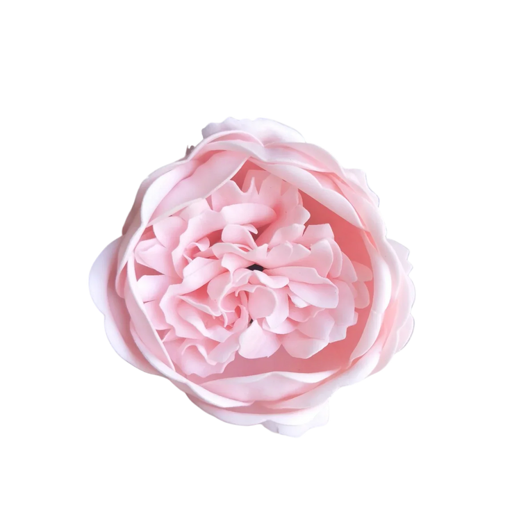 pivoine