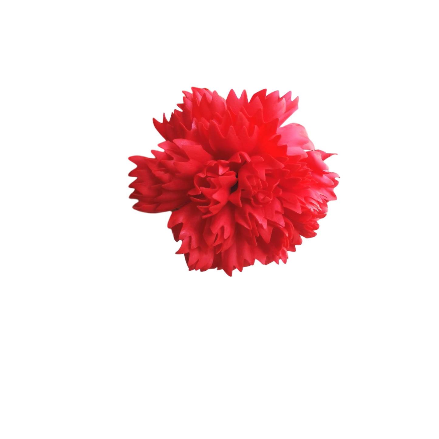 Œillet de la fleuriste en savon à l'unité : rouge, rose ou blanc.