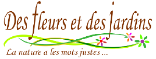 grossiste en fleurs de savon